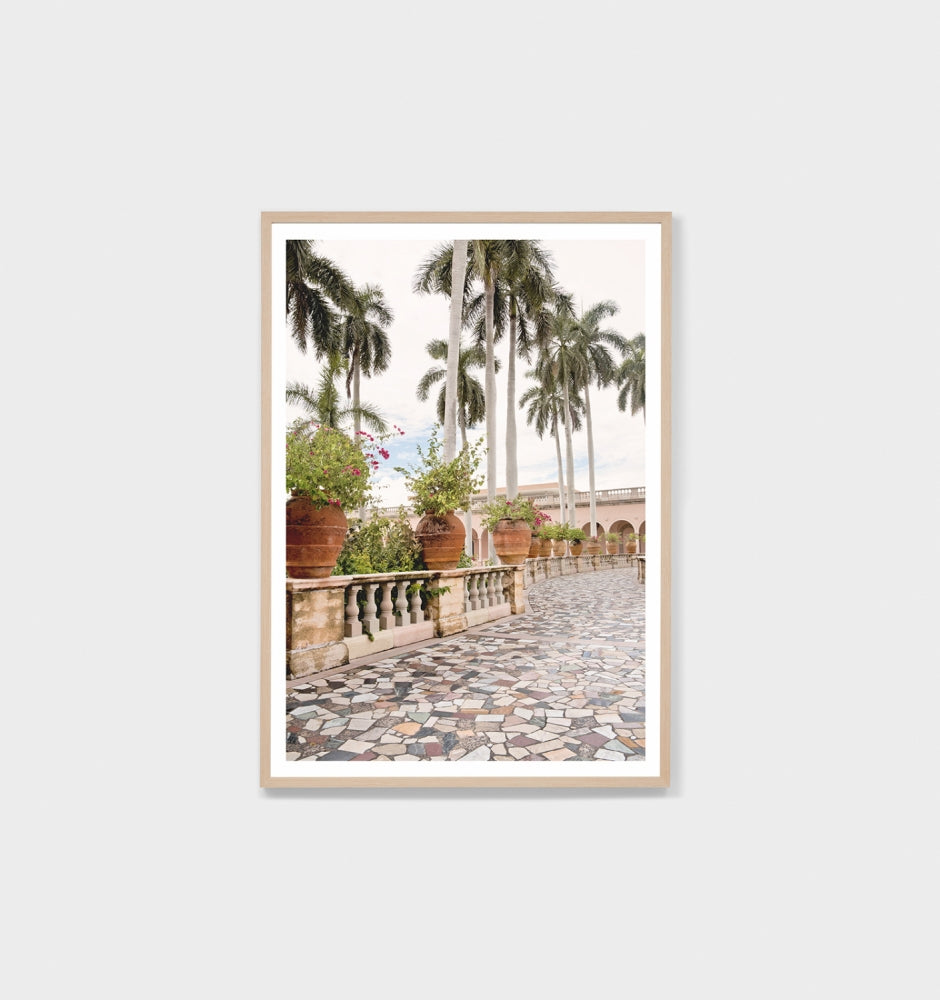 Palm Courtyard Print