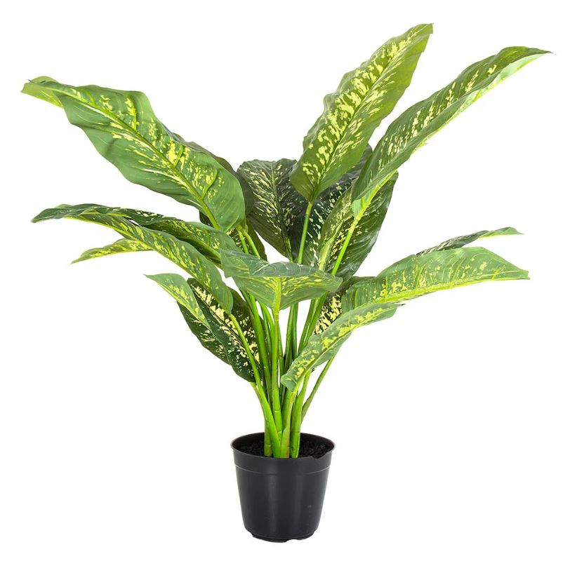 Cane Real Touch Large Potted Plant