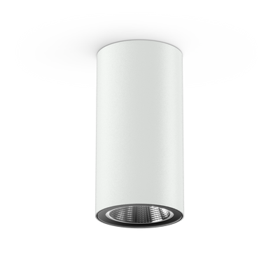 LumenaPro AQL-880 Surface Mount Downlight