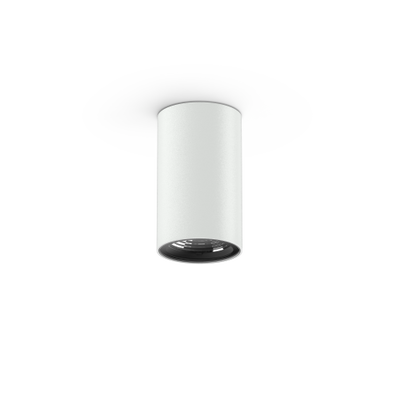 LumenaPro AQL-860 Surface Mount Downlight