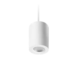 Apex Suspended Downlight