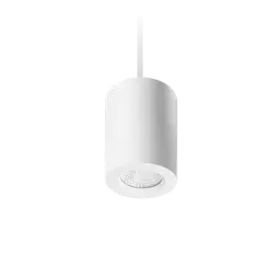 Apex Suspended Downlight