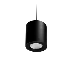 Apex Suspended Downlight