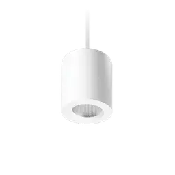 Apex Suspended Downlight