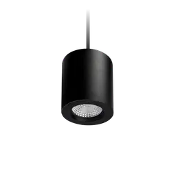 Apex Suspended Downlight
