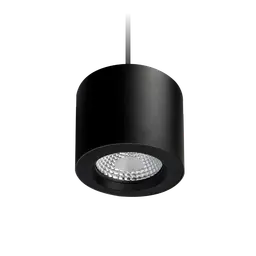 Apex Suspended Downlight