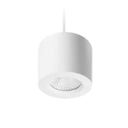 Apex Suspended Downlight
