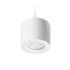 Apex Suspended Downlight