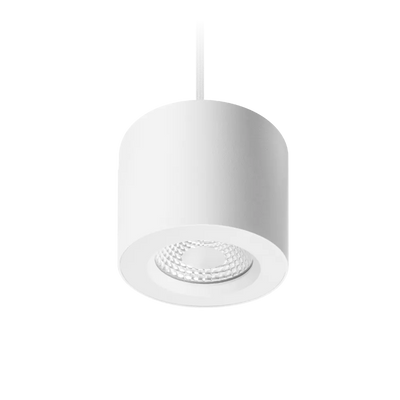 Apex Suspended Downlight