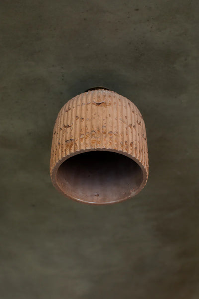Banc Ceiling Light