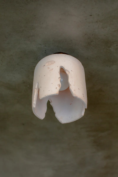 Wattle Ceiling Light