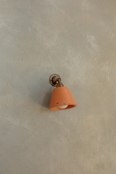 Mod wall light with knuckle