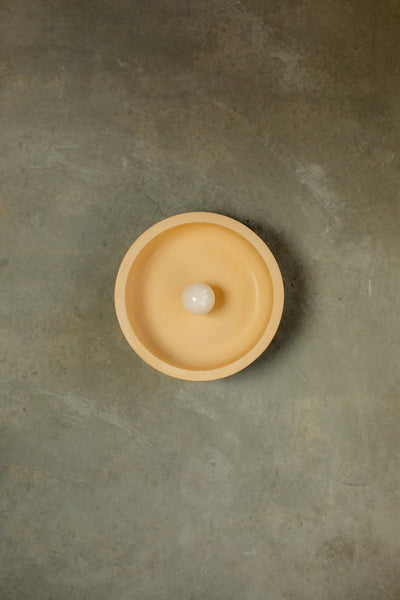 Medium Hakea Sconce