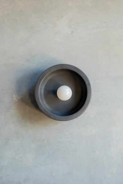Small Hakea sconce