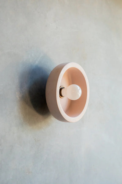 Small Hakea sconce