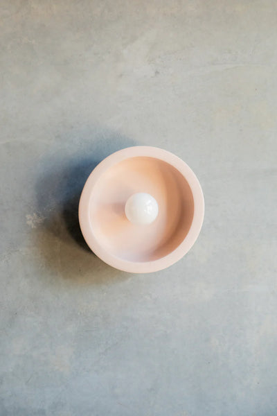 Small Hakea sconce