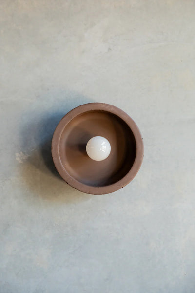 Small Hakea sconce