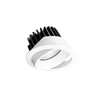 EQ Tilt Downlight