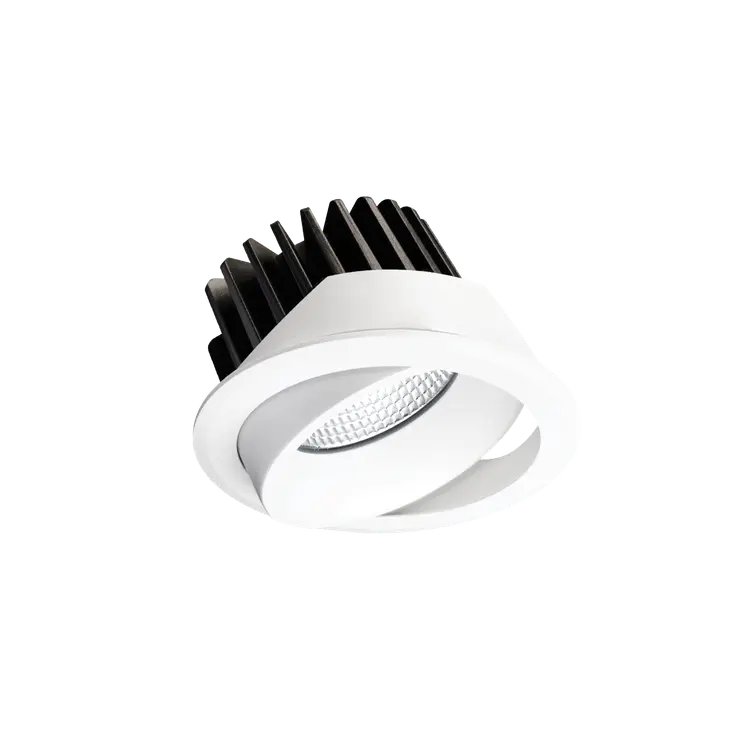 EQ Tilt Downlight