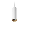 ION R Suspended Downlight