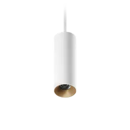 ION R Suspended Downlight