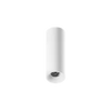 ION R Surface Mounted Downlight