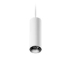 ION R Suspended Downlight