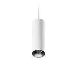 ION R Suspended Downlight