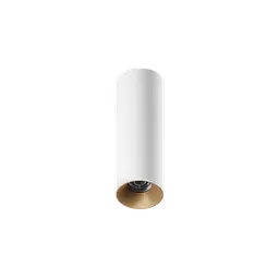 ION R Surface Mounted Downlight