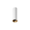 ION R Surface Mounted Downlight