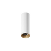 ION R Surface Mounted Downlight