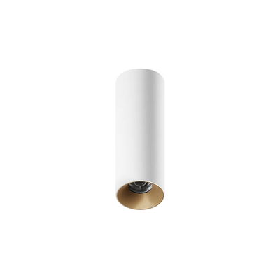 ION R Surface Mounted Downlight