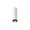 ION R Surface Mounted Downlight