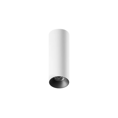 ION R Surface Mounted Downlight