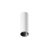 ION R Surface Mounted Downlight