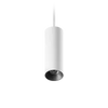 ION R Suspended Downlight