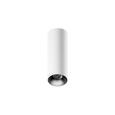 ION R Surface Mounted Downlight