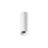ION R Surface Mounted Downlight