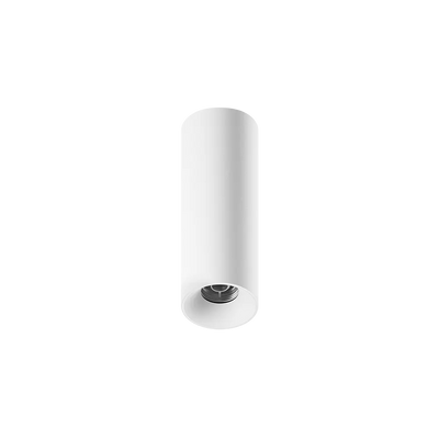 ION R Surface Mounted Downlight