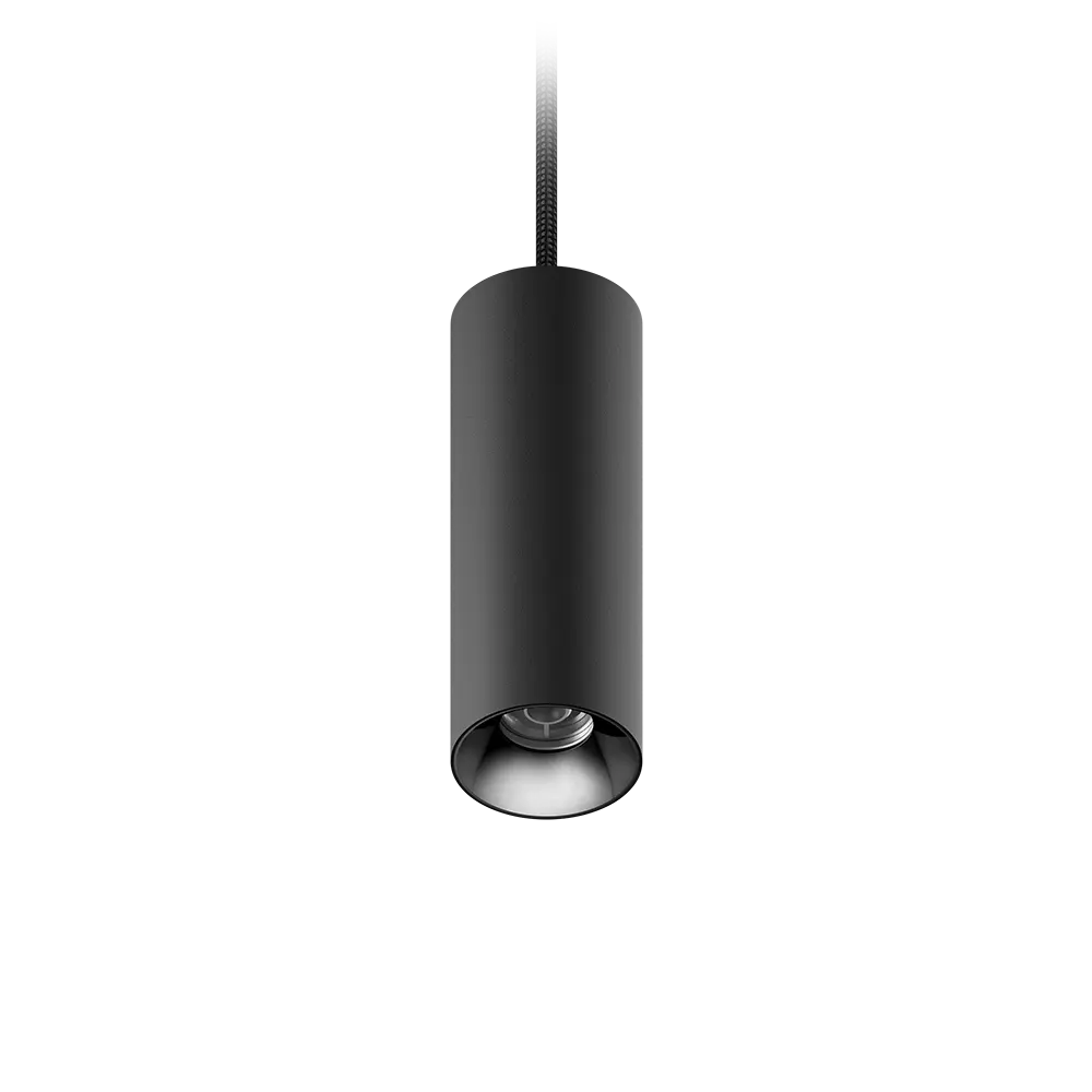 ION R Suspended Downlight