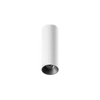 ION R Surface Mounted Downlight