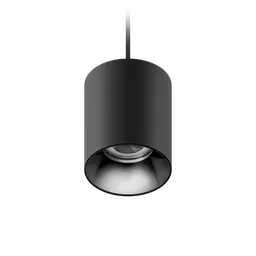 ION R Suspended Downlight