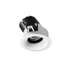 ION R Adjustable Downlight