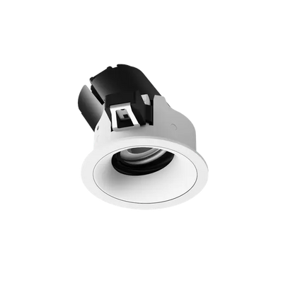 ION R Adjustable Downlight