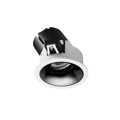 ION R Adjustable Downlight