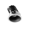 ION R Adjustable Downlight