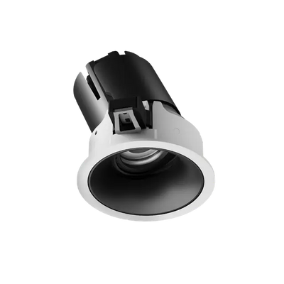 ION R Adjustable Downlight