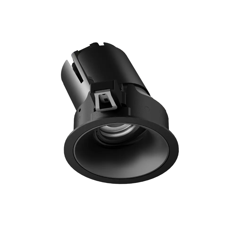 ION R Adjustable Downlight