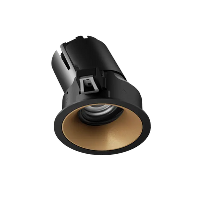 ION R Adjustable Downlight