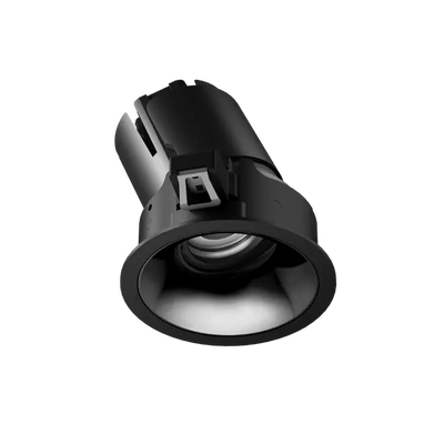ION R Adjustable Downlight